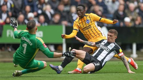 Newcastle United contre Brighton
