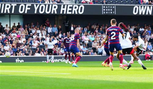 Fulham contre Newcastle United