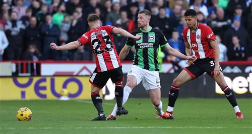 Sheffield United contre Brighton