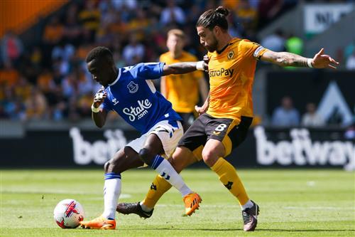 Loups contre Everton